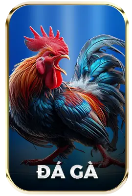 Chuyên mục đá gà 789f