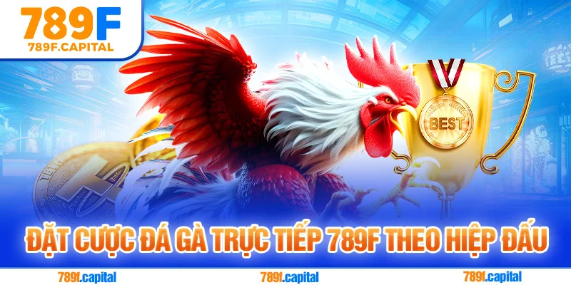 Đặt cược đá gà trực tiếp 789F theo hiệp đấu